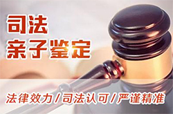 新余司法亲子鉴定流程是怎样的呢,新余司法亲子鉴定需要多少费用