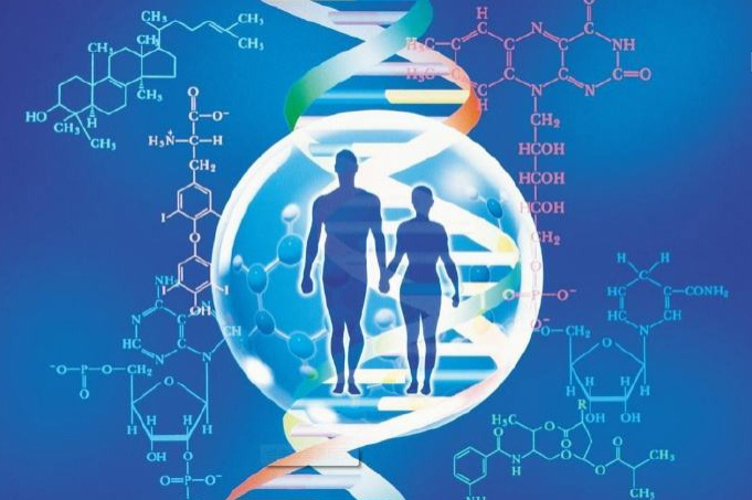 景德镇隐私DNA亲子鉴定结果需要多久,景德镇隐私亲子鉴定生物检材有什么