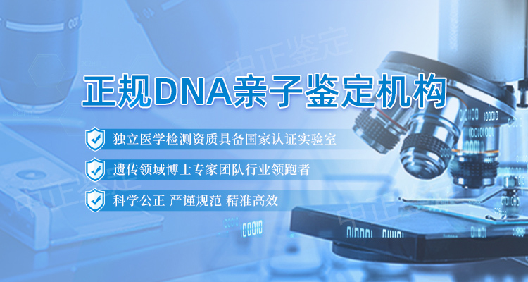分类：怎么做鉴定